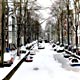 I viali ad Amsterdam in inverno