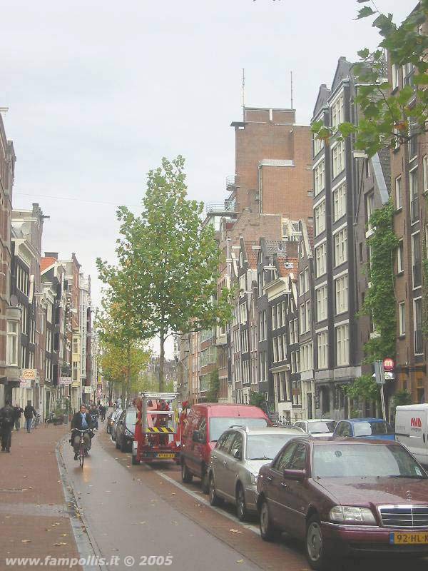 Pista ciclabile ad Amsterdam, link qui per dimensioni reali