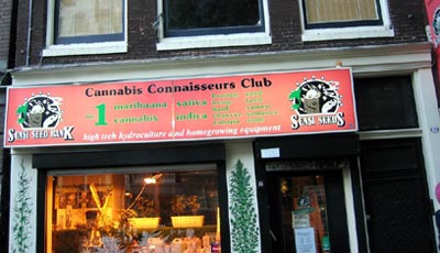 Caffe Shop cannabis - Clicca sull'immagine per ingrandirla