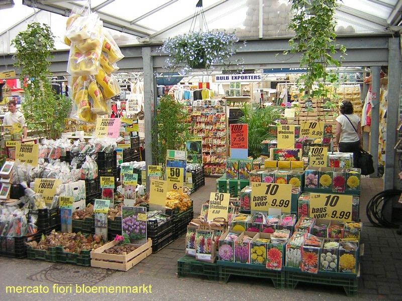 Bloemenmarkt, il Mercato dei Fiori - Clicca sull'immagine per ingrandirla