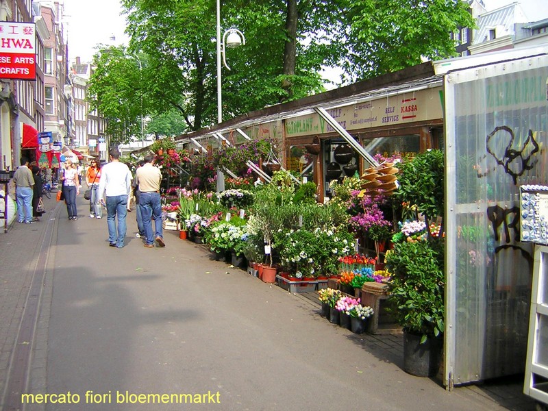 Il Mercato dei Fiori Bloemenmarkt - Clicca sull'immagine per ingrandirla