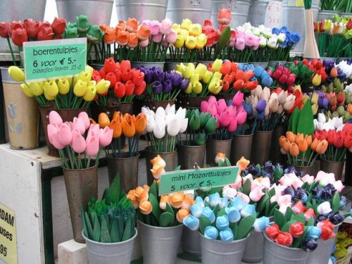 Tulipani in Vendita - Clicca sull'immagine per ingrandirla