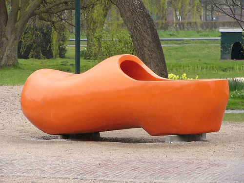 Grande Zoccolo Arancione - Clicca sull'immagine per ingrandirla